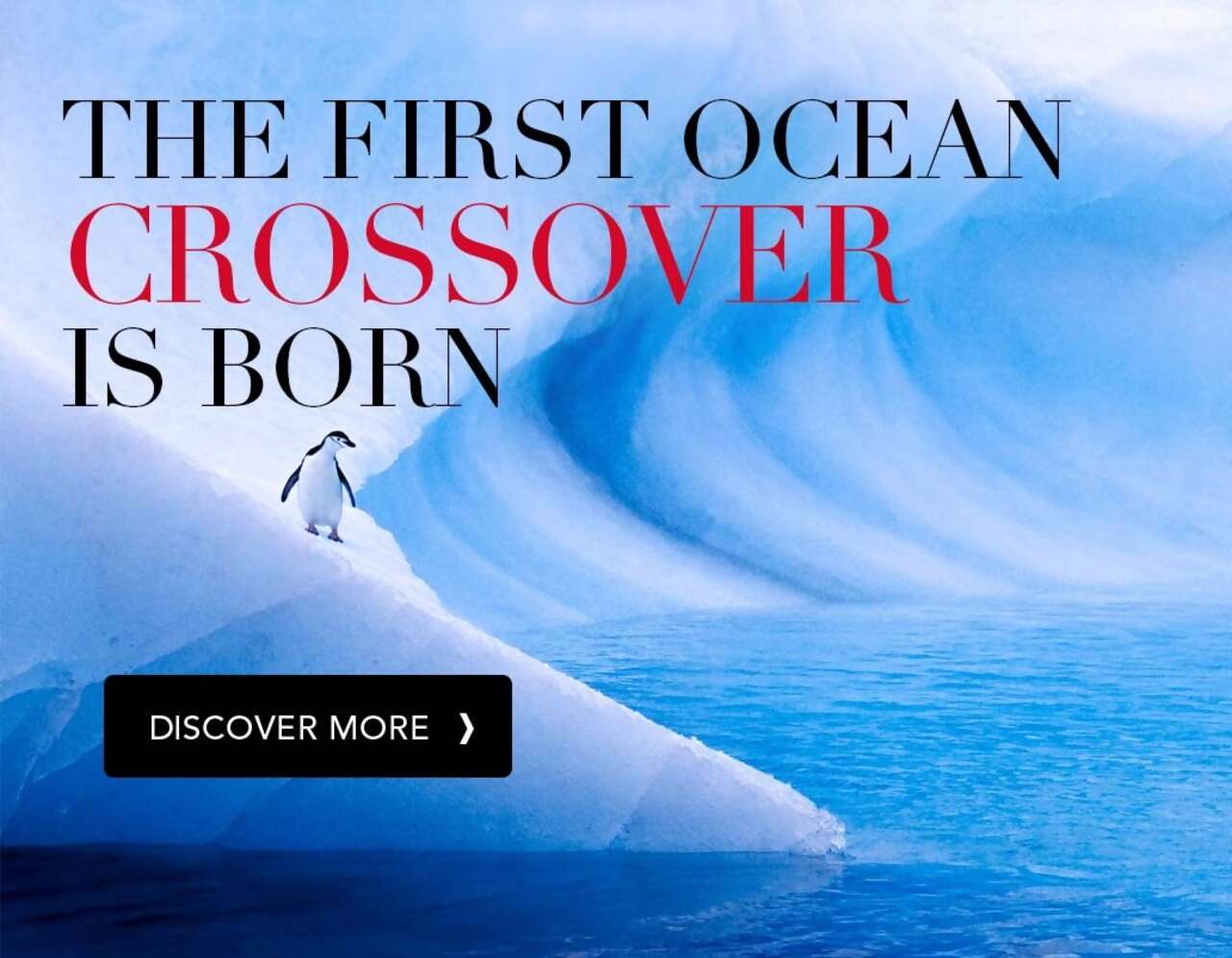 Silver Cloud Expedition