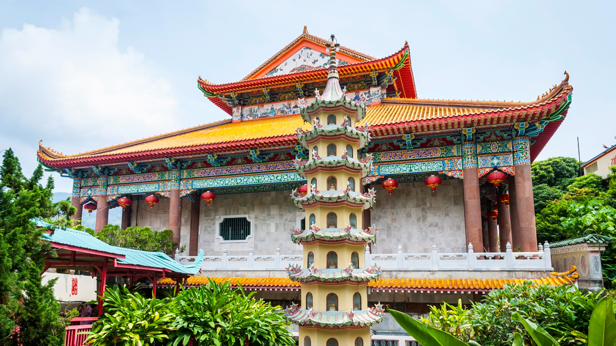 Natural History Tours