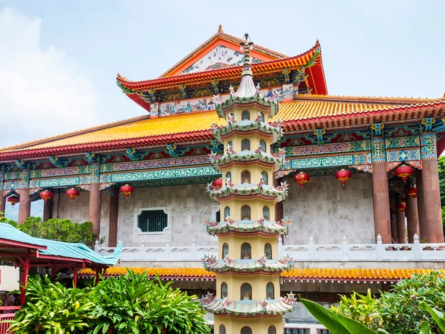 Natural History Tours