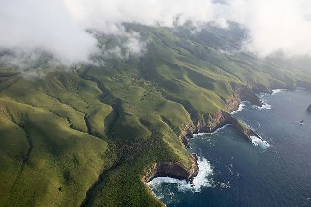 A New Marine Reserve in Mexico is the 'Galapagos of North America'