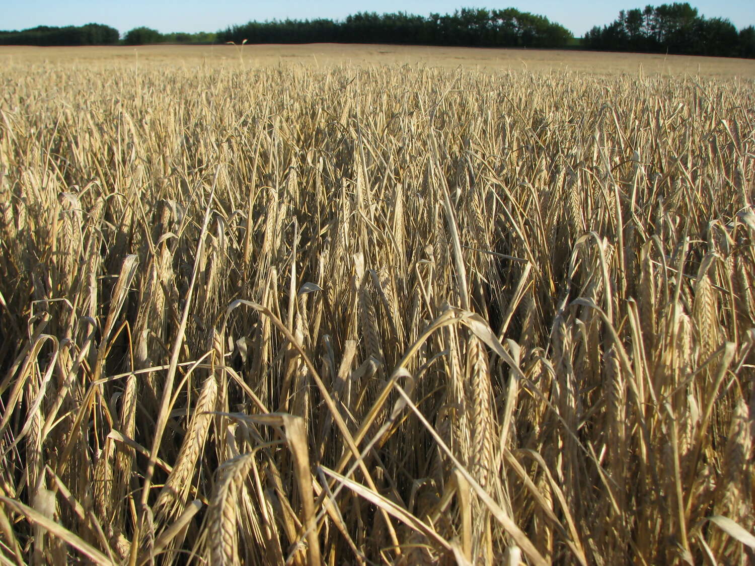 Alberta, Saskatchewan & Ontario Tour