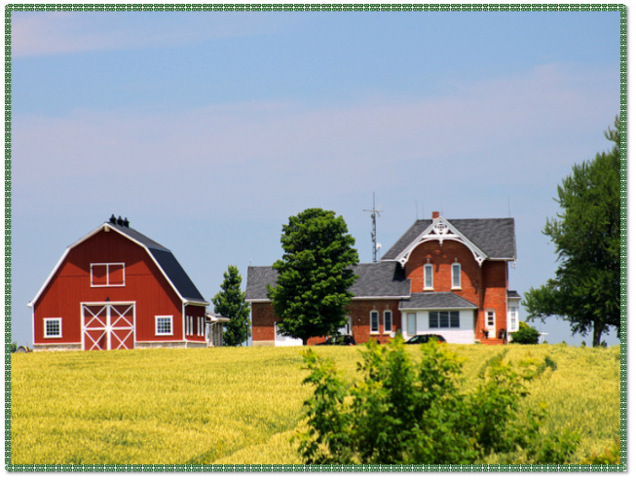 Ontario Agricultural Tour
