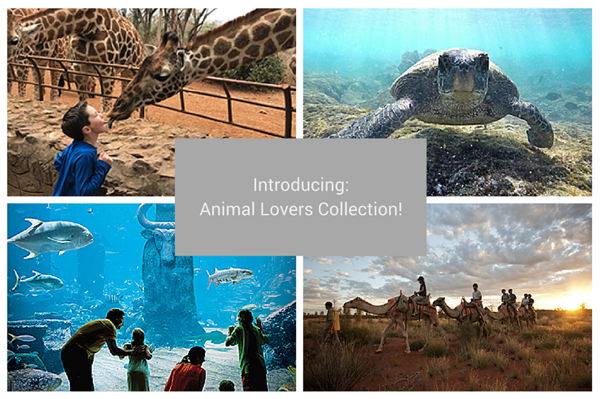 Introducing the Animal Lovers Collection from Classic Vacations