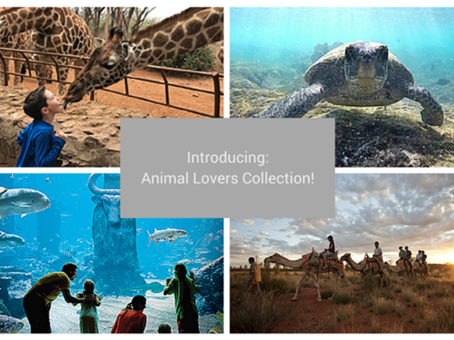 Introducing the Animal Lovers Collection from Classic Vacations