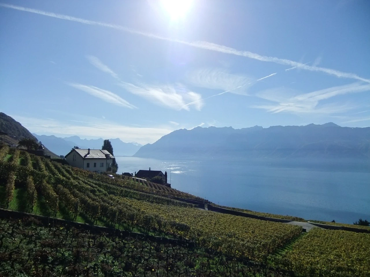 Food & Wine of France & Switzerland - Private Luxury Europe Tours