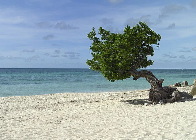 Time To Get Back to the Caribbean! Escape To One of These Unique Beaches