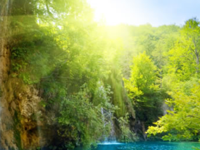 Enjoy the Spectacular Shores of the Dalmatian Coast