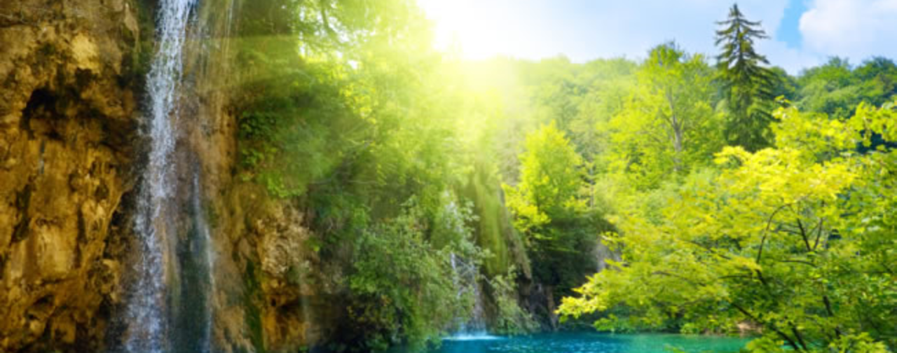 Enjoy the Spectacular Shores of the Dalmatian Coast