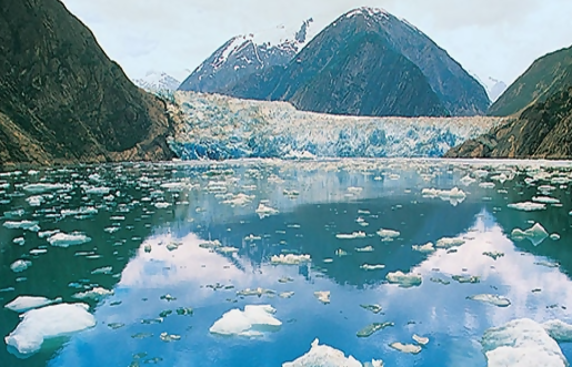 Alaska Cruise + Yukon + Denali