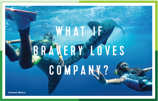 What If Bravery Loves Company?