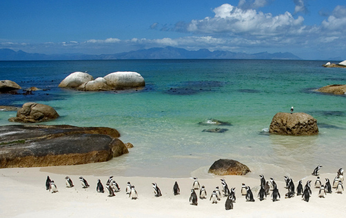 Discover South Africa