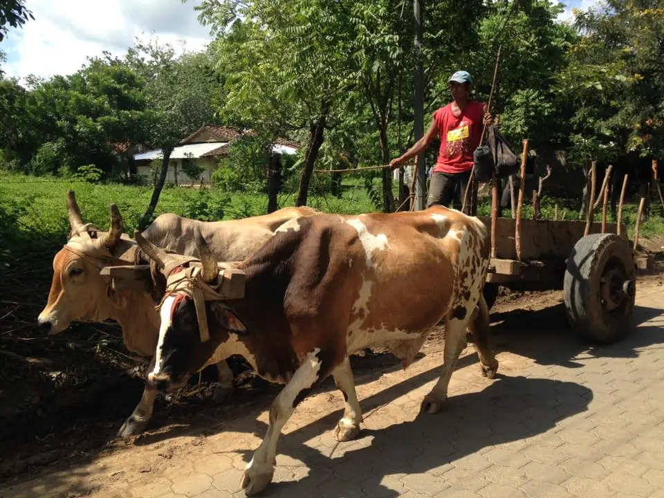 McPhail Travel & Discovery Tours 2018/2019 Small Group Tours Announced