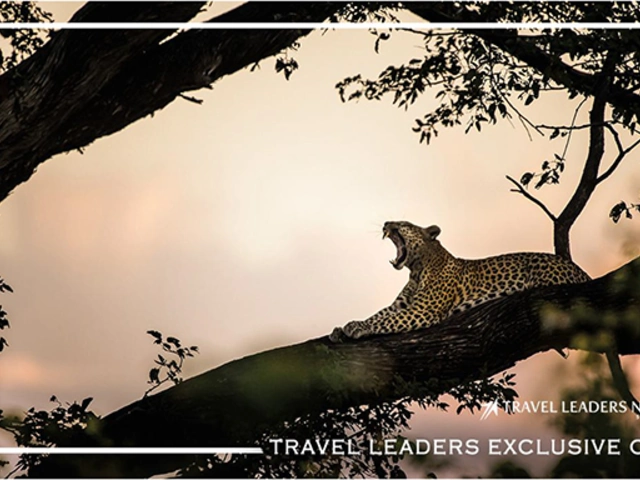 Lover's Escape on a Cape & Safari Honeymoon