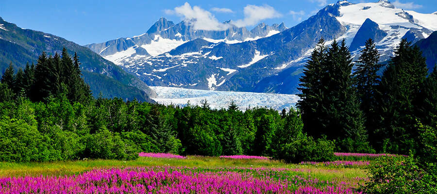 Top 10 Ranger Questions in Glacier Bay, Alaska
