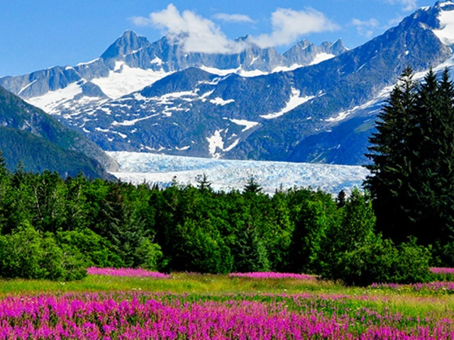 Top 10 Ranger Questions in Glacier Bay, Alaska