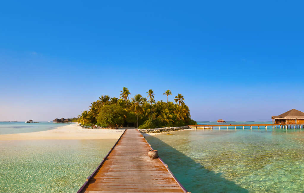 Jessica Baziuk & Cameron Opdendries