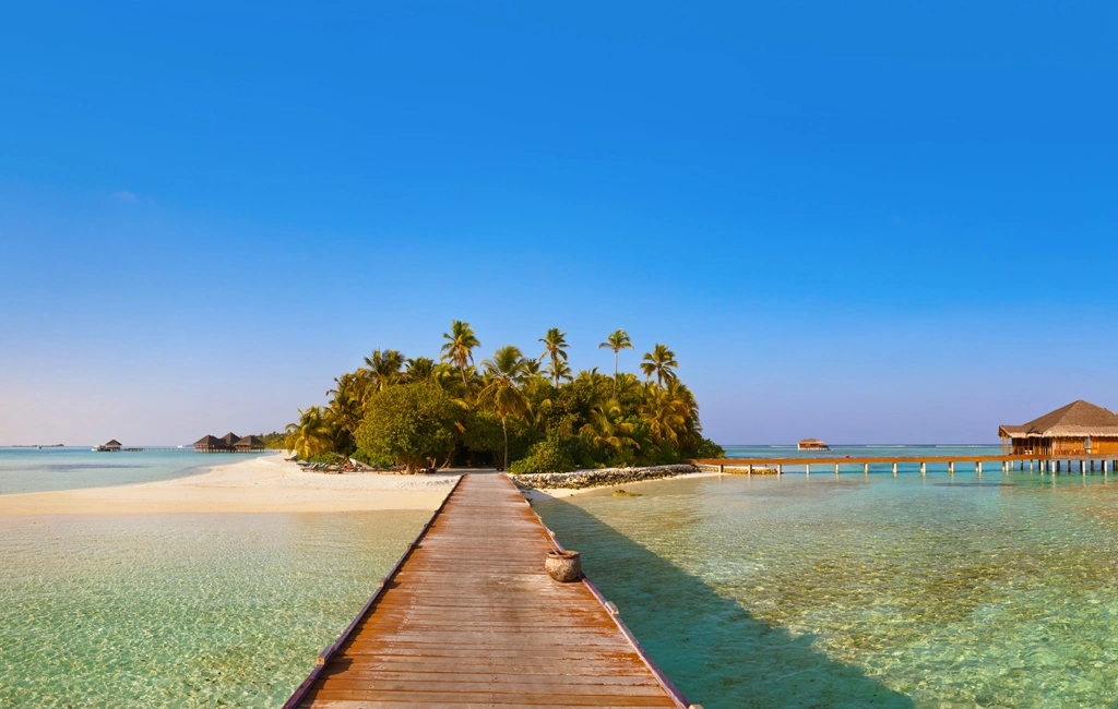 Jessica Baziuk & Cameron Opdendries