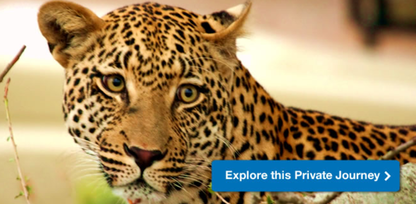 What Makes South Africa So Amazing? Let Us Show You