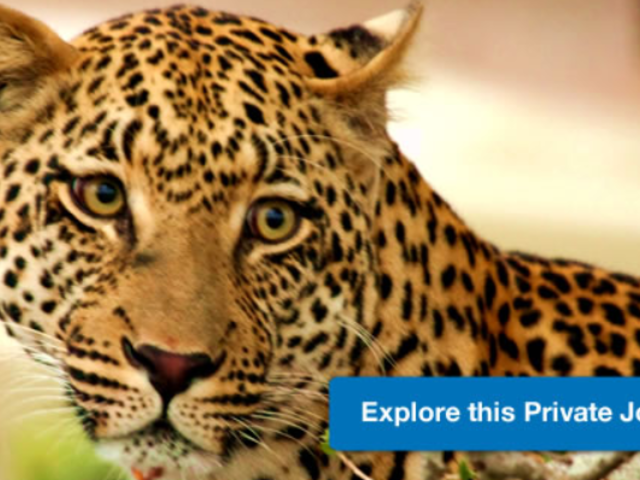 What Makes South Africa So Amazing? Let Us Show You