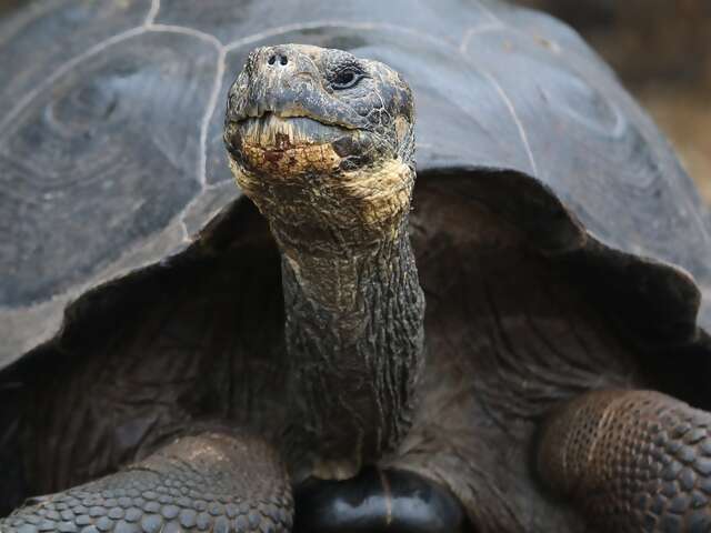 A Look at UNESCO World Heritage Sites - Nature's Creations