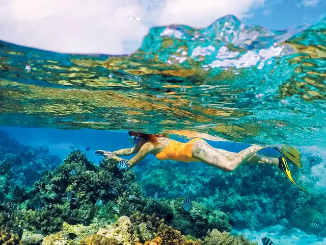 Paradise is Waiting!