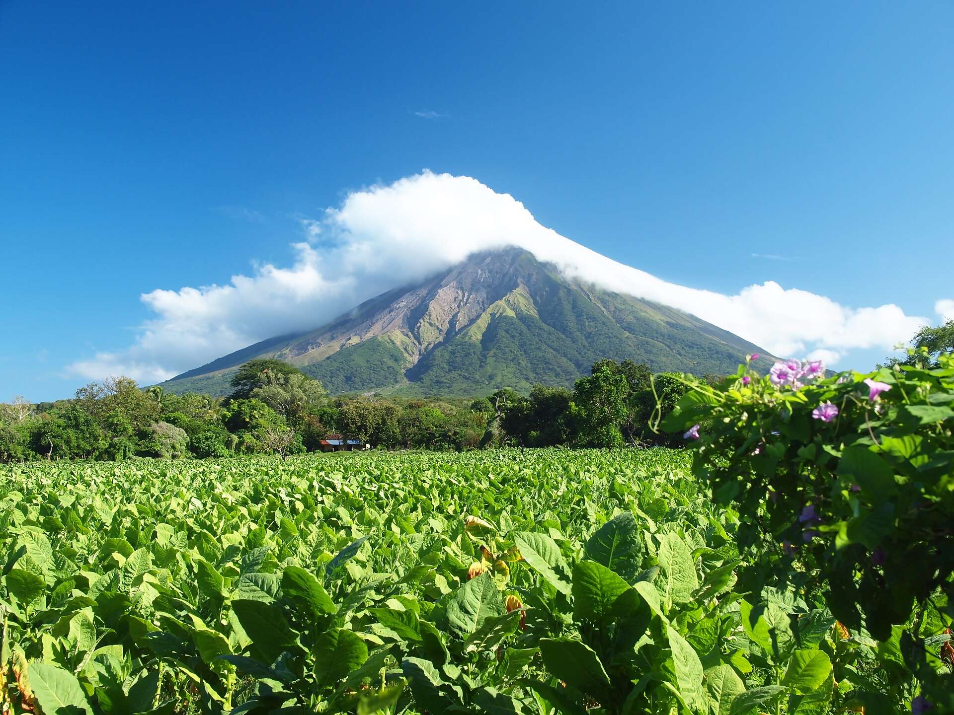 Enjoy the best of what Nicaragua has to offer with McPhail Travel!