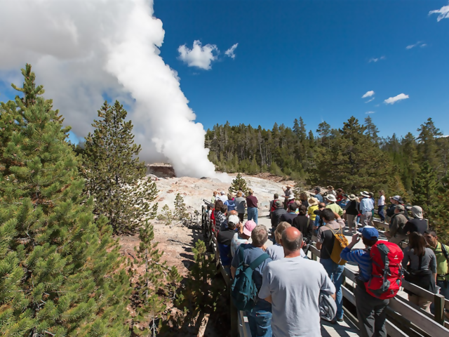 The World's Tallest Geyser Is At It Again