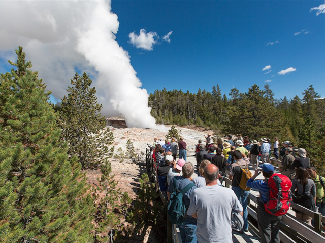 The World's Tallest Geyser Is At It Again