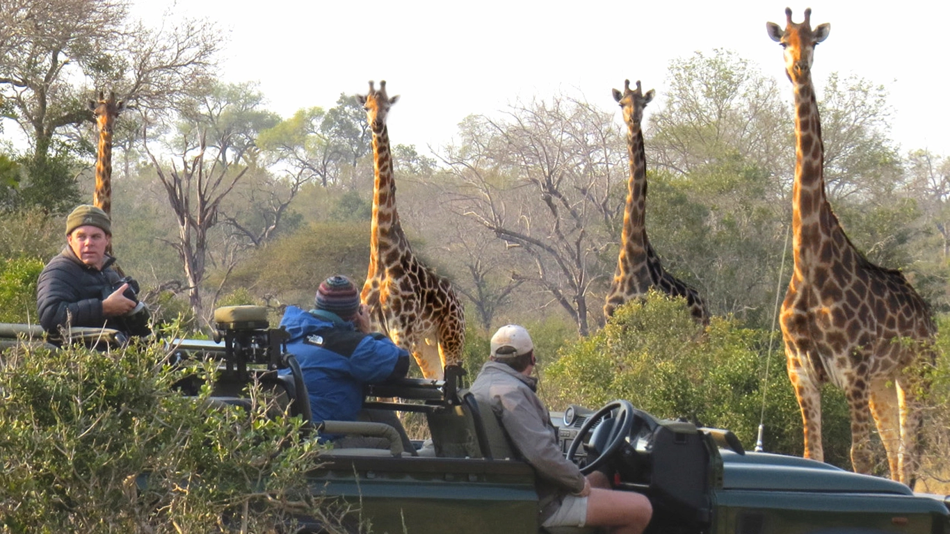 The Best of South Africa and Victoria Falls