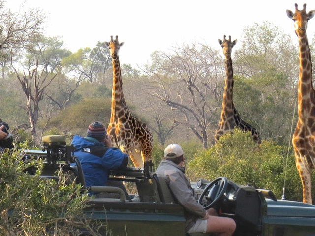 The Best of South Africa and Victoria Falls