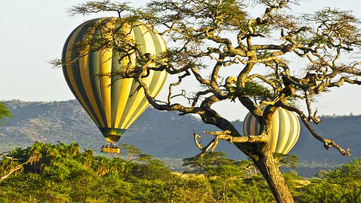 Tanzania Royal Safari