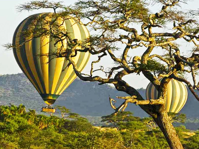 Tanzania Royal Safari