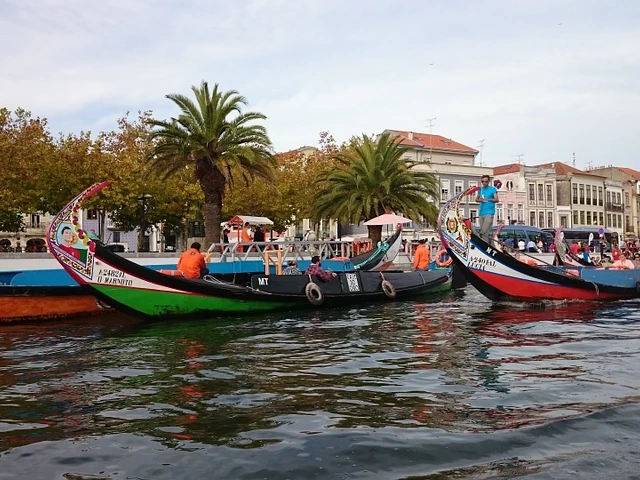 Escorted/Guided Vacations