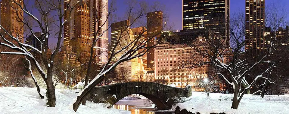 Spotlight on New York City Holiday