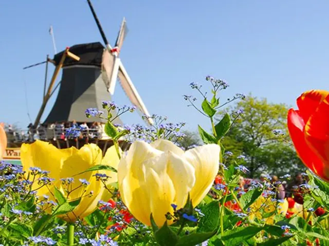 Springtime Tulip River Cruise