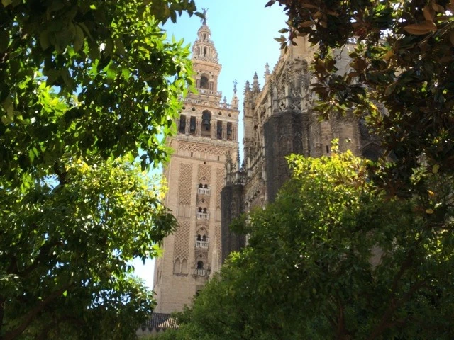 2992178_orig.jpg