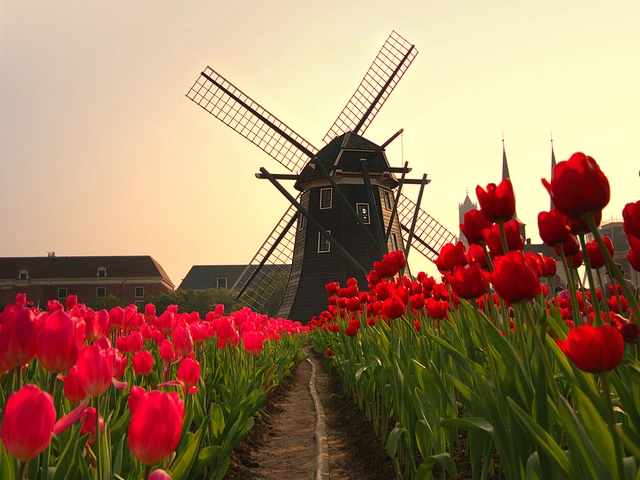 2019 Cruises with Uniworld Boutique River Cruise Collection