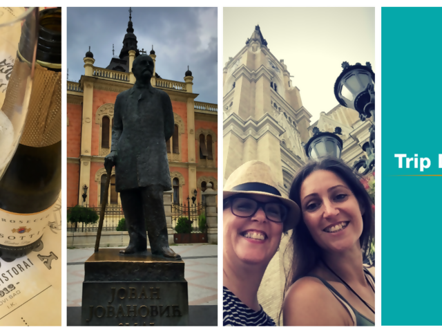 An Afternoon in Novi Sad