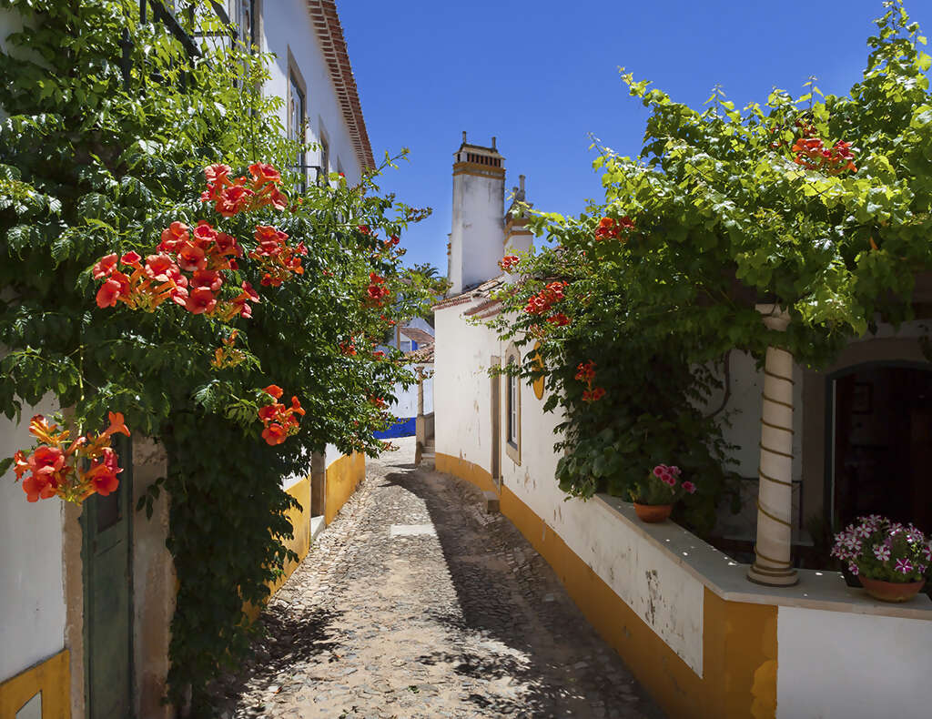 Immersed and Embraced by Portugal