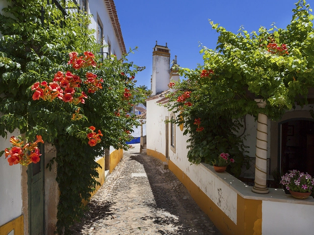Immersed and Embraced by Portugal