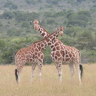 Kenya with Christine