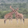 Kenya with Christine