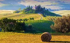 Discovering a gem in Tuscany