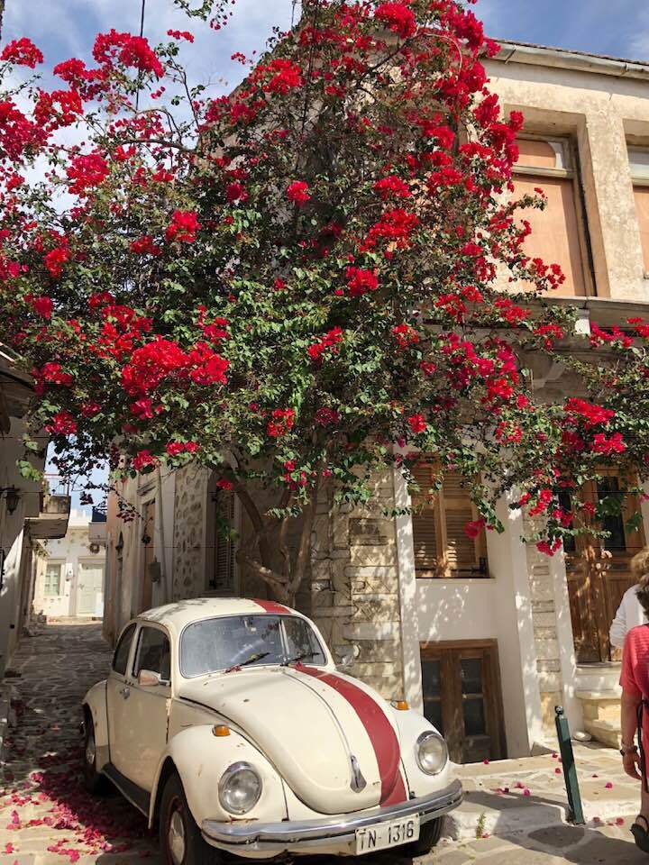 JWH Nexos Hibbs 1.jpg