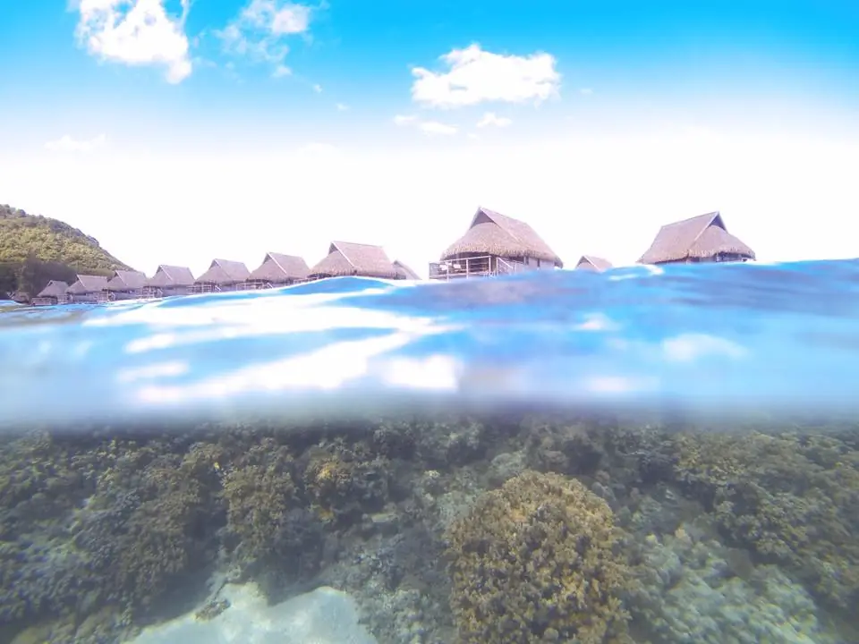 Dream Honeymoon!