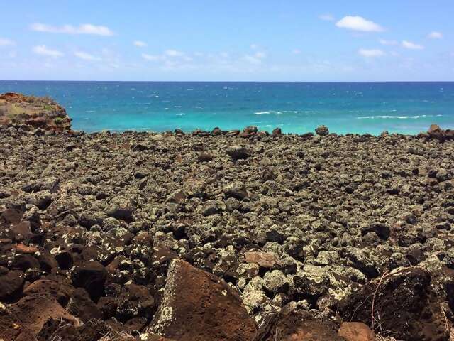 Amazing Kaua'i Trip!