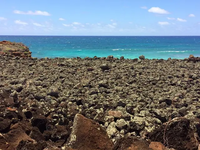 Amazing Kaua'i Trip!