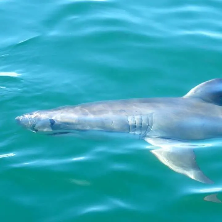 Incredible Trip to South Africa