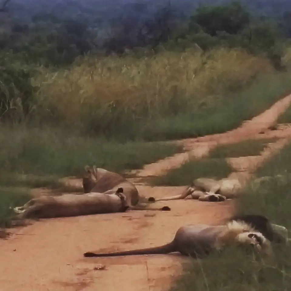 Incredible Trip to South Africa