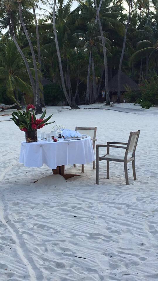 MOST AMAZING HONEYMOON